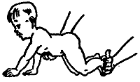  ( )